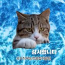 세계인력직업소개소 이미지