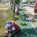 온양3동 모종로 이미지