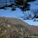 용문산 정상 이미지