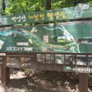 운수천공간쉼터 이미지