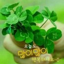 사랑으로 이미지