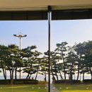 (주)파라다이스호텔 | 부산 파라다이스 호텔 오션뷰 여행 후기 (내돈내산)