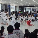 한국키즈태권도장 이미지