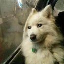 영남대학교 환경보건대학원 | 2026학년도 전기 한양대학교 보건대학원 합격 후기