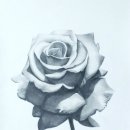 더그림미술