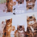 감정표현 쑥쑥, 치유여행 | 센텀 뮤지엄원 치유의 기술 주차장 부산 해운대 실내 가볼만한 곳