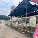 삼미세차장 이미지