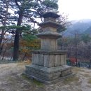 향성 이미지