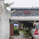 안의 미송갈비탕