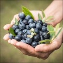 협동조합 오성 이미지