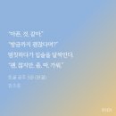 함초롱 이미지