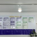 요거트퍼플영주