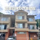 숲속의바다 숲속동 | 강릉임해자연휴양림 숲속동 가족여행 후기 오션뷰 강원도 휴양림 추천 가격 정보