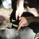 동암아이사랑어린이집 이미지