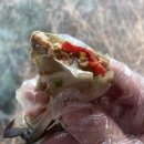 숙이네간장게장 - 의정부시 시민로387번길 22-10 | 하남에서 제일 오래된 맛집 “숙이네 간장게장” 진심 추천 후기