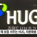 국토부-금융당국 &#39;전세대출 엇박자&#39;...전세보증 &#39;빨간불&#39; 이미지