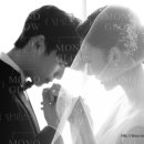 모노러브 이미지