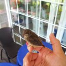 아기새어린이집 이미지