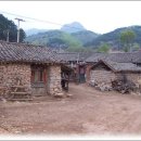 만주농장 이미지