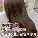 [수원/인계동] &#34;살롱바이율&#34; 베이비브라운 매트애쉬브라운 염색 후기