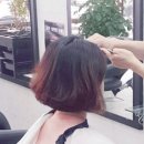 헤어베네 이미지