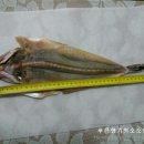 진양상회 이미지