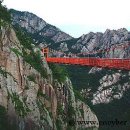 월출산주유소 이미지