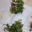 자연애흑염소팜 이미지