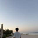 오주분식 | day5) 마요르카 대성당, 구시가지 Mercat de l'Olivar 시장구경, 코리안 분식 떡볶이