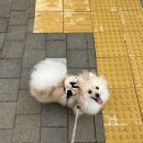 이룸연합치과의원 이미지