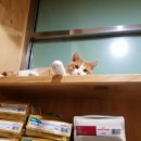 횡성동물병원 이미지