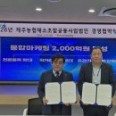 법인제주에서