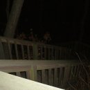 황령산 편백단지 | 13.승학산~구덕산~시약산~엄광산~석탑봉