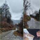 촌부의 단상-을씨년스럽더니... 이미지