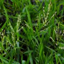 하늘지기 이미지