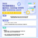 위즈스토리 이미지