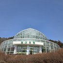 세계차나무식물관 네이버블로그