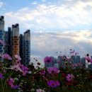 배곧생명공원 이미지