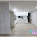 광진 pet 이미지