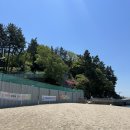 남일대해수욕장 | 사천 삼천포 가볼만한 곳｜남일대 해수욕장 ‘코끼리바위’ 산책로 &amp; 포토존 후기