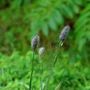 경암농장 이미지