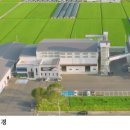 담양군농협쌀조합공동사업법인 | 제주도 초·중·고등학생에게 담양군 친환경쌀 공급