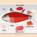 시나브로참치 이미지
