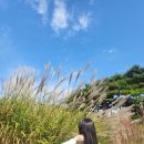 인생사진 명소! 1박 2일 전주-군산 여행 (1편) (트리플, 전북투어패스 후기)