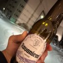 핀란드 여행 로바니에미 오로라 헌팅 후기 강력 추천 업체 nordies tour