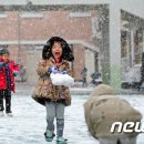 다영 카카오 검색결과