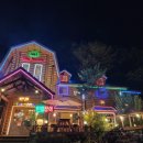 숲속통나무 이미지