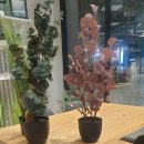 생활용품매장 이미지