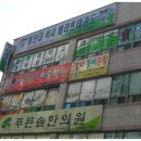 용인대 엘리트 태권도 이미지