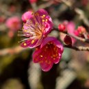 인생신호등 이미지